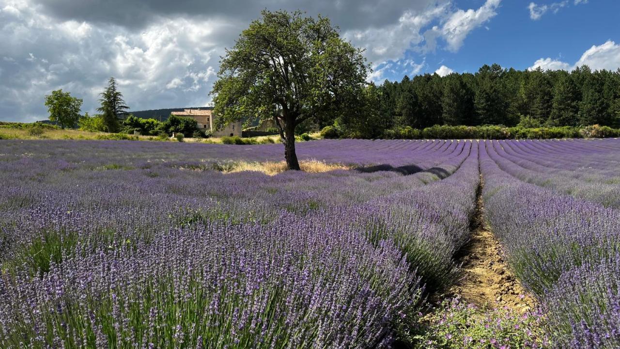 Bed and Breakfast Santolines En Provence Пьолан Экстерьер фото