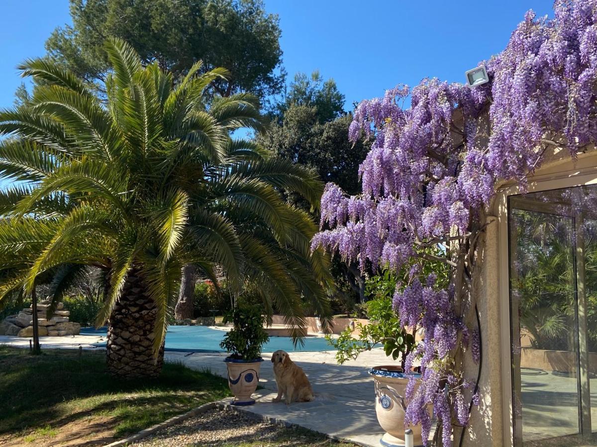 Bed and Breakfast Santolines En Provence Пьолан Экстерьер фото